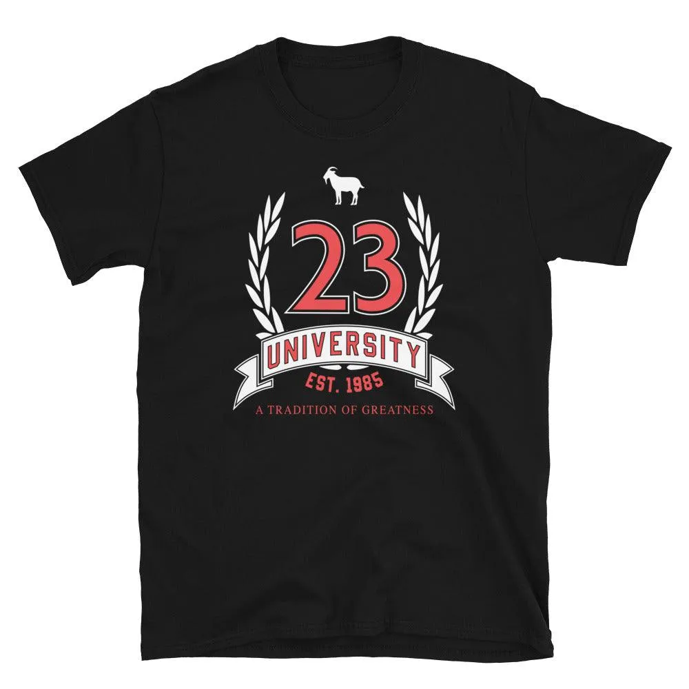 23 University Shirt to Match Air Jordan 12 Playoff 2022