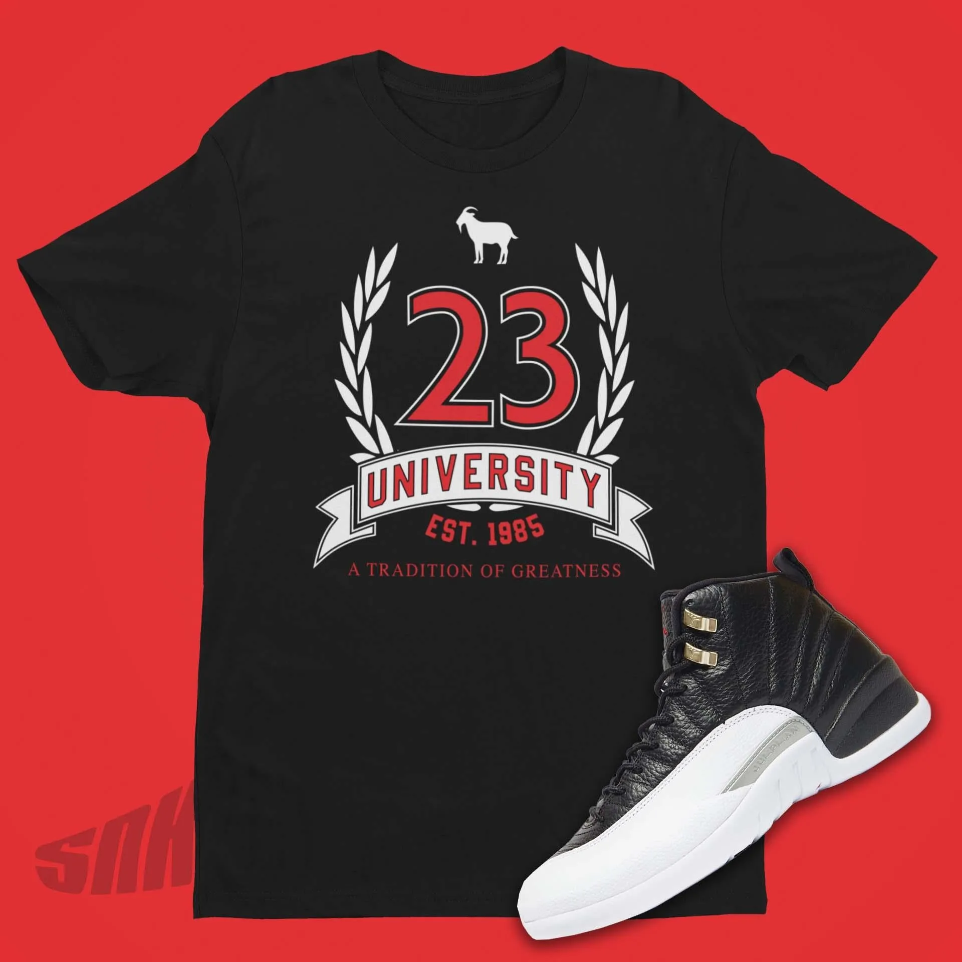 23 University Shirt to Match Air Jordan 12 Playoff 2022