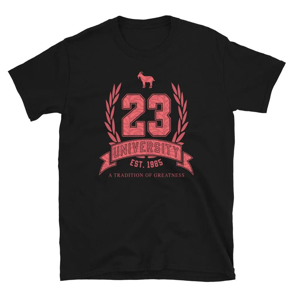 23 University Shirt to Match Air Jordan 9 Chile Red