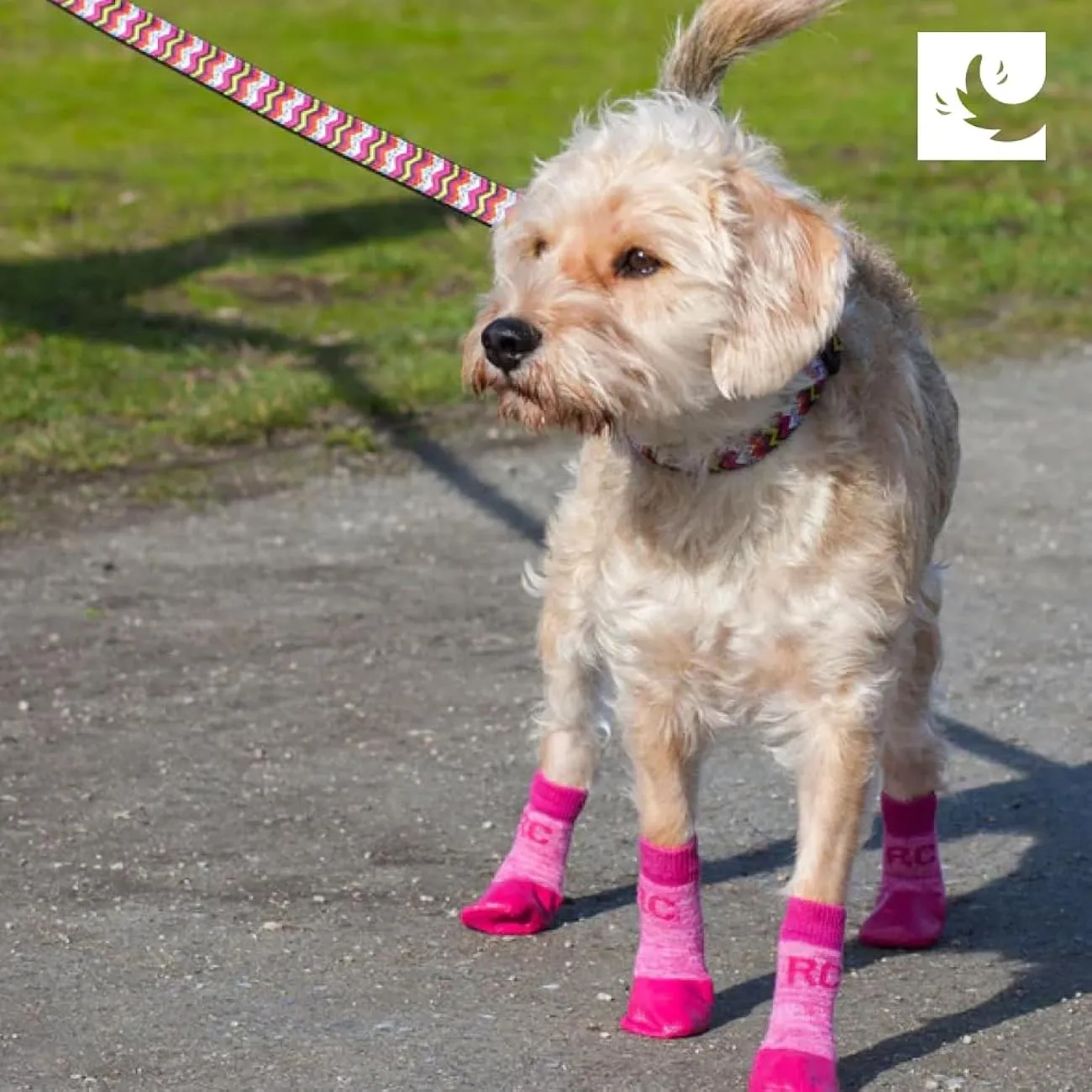 Anti-slip - Sport Boot - Dog Boot - Pink