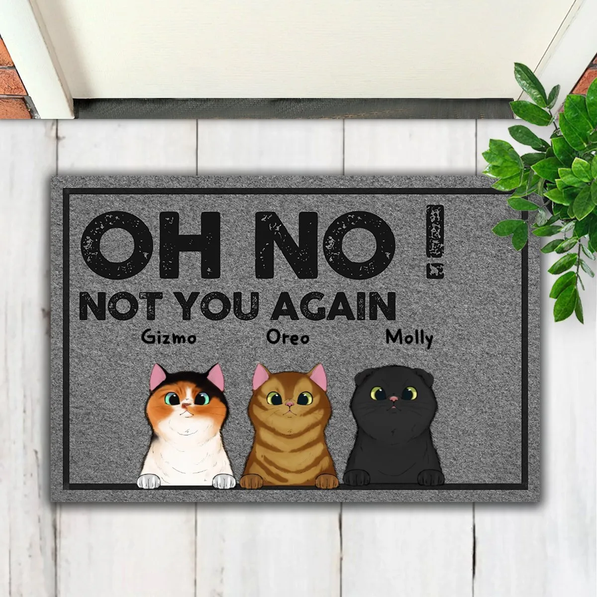 Cat Lovers - Oh No! Not You Again - Personalized Doormat