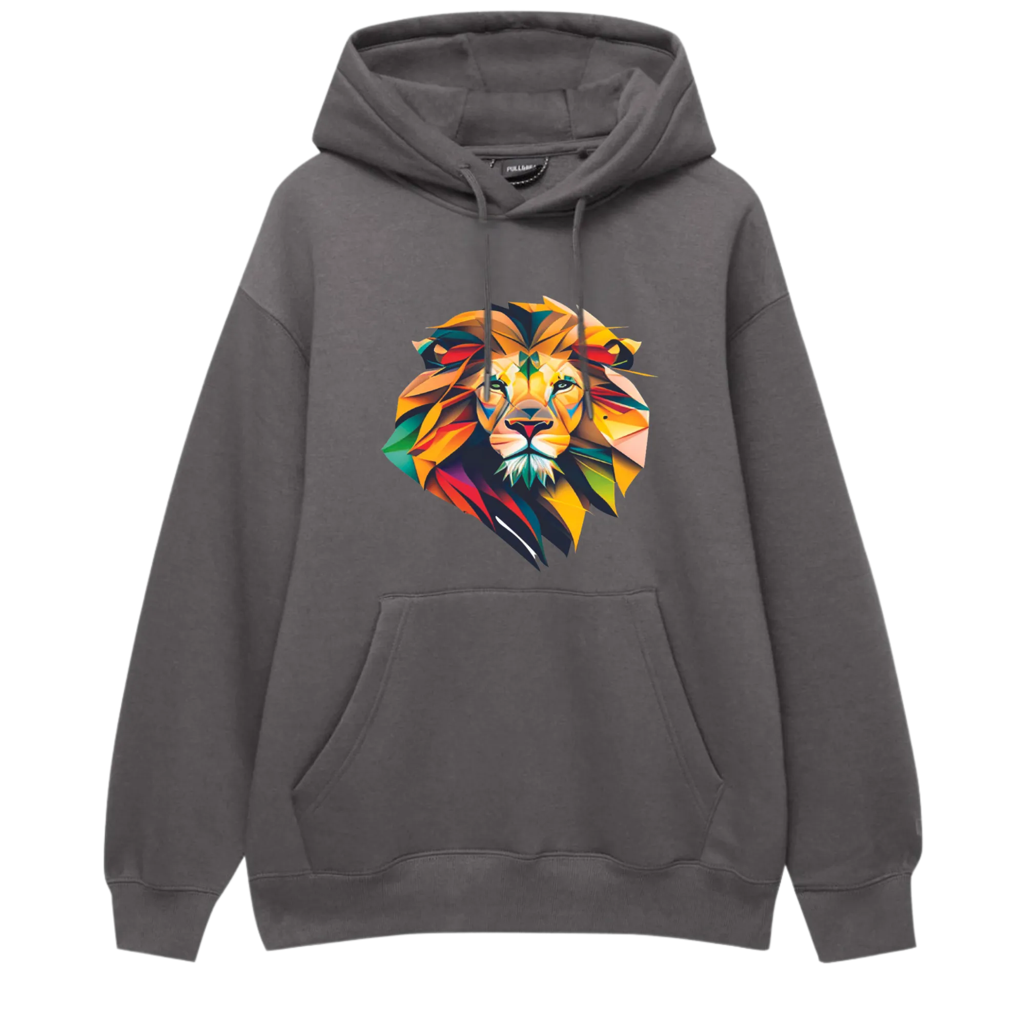 Lion Cozy Long Sleeve Hoodie