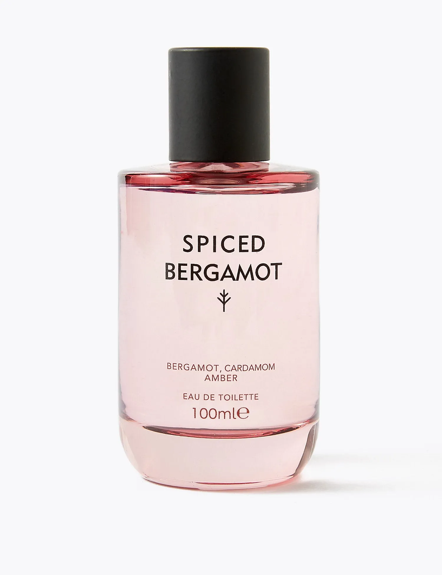 Spiced Eau de Toilette 100ml