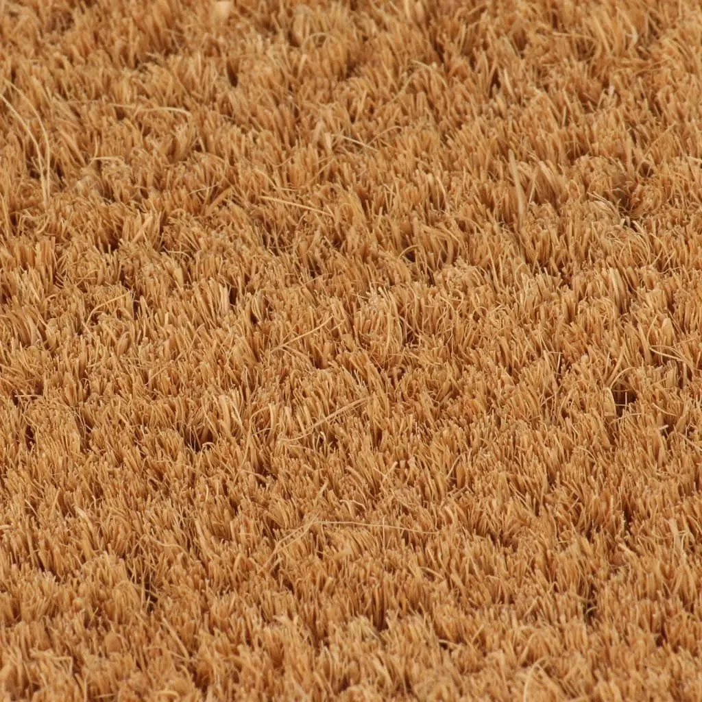 vidaXL Door Mat Natural 90x150 cm Tufted Coir